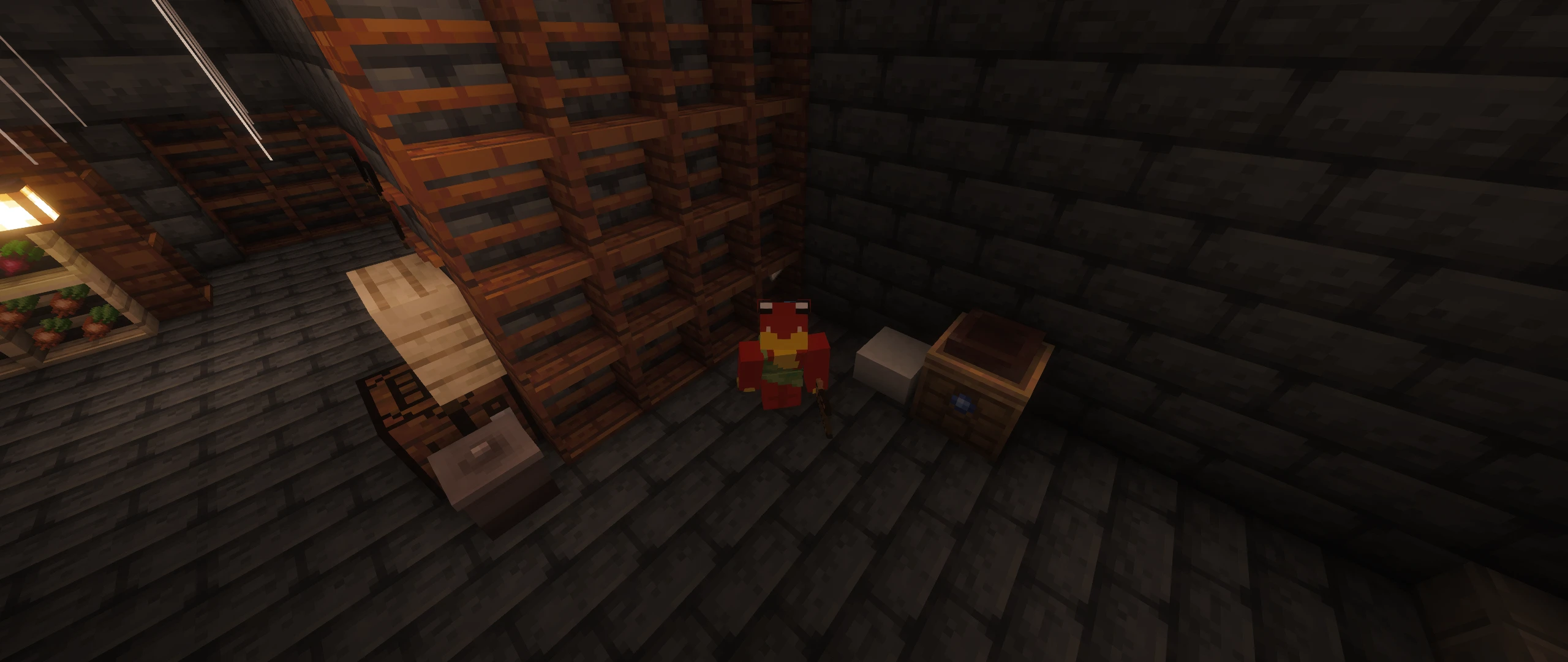 There's a frog hiding in our cellar